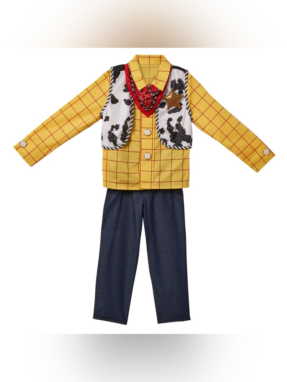 Disney Store Toy Story Boys Woody Costume